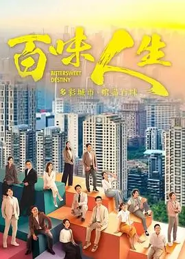 雾港回声电视剧海报